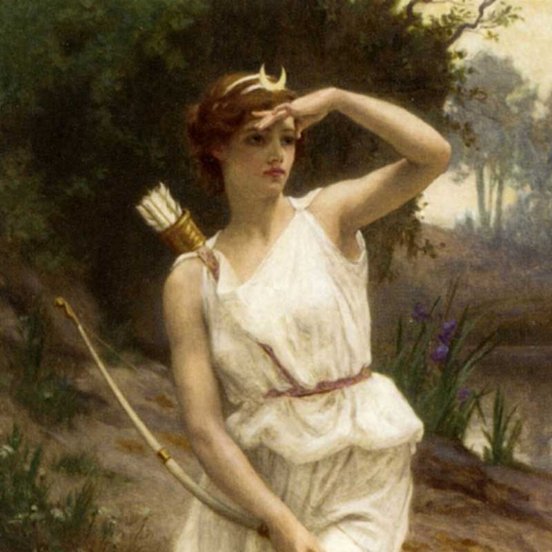 IL BOSCO